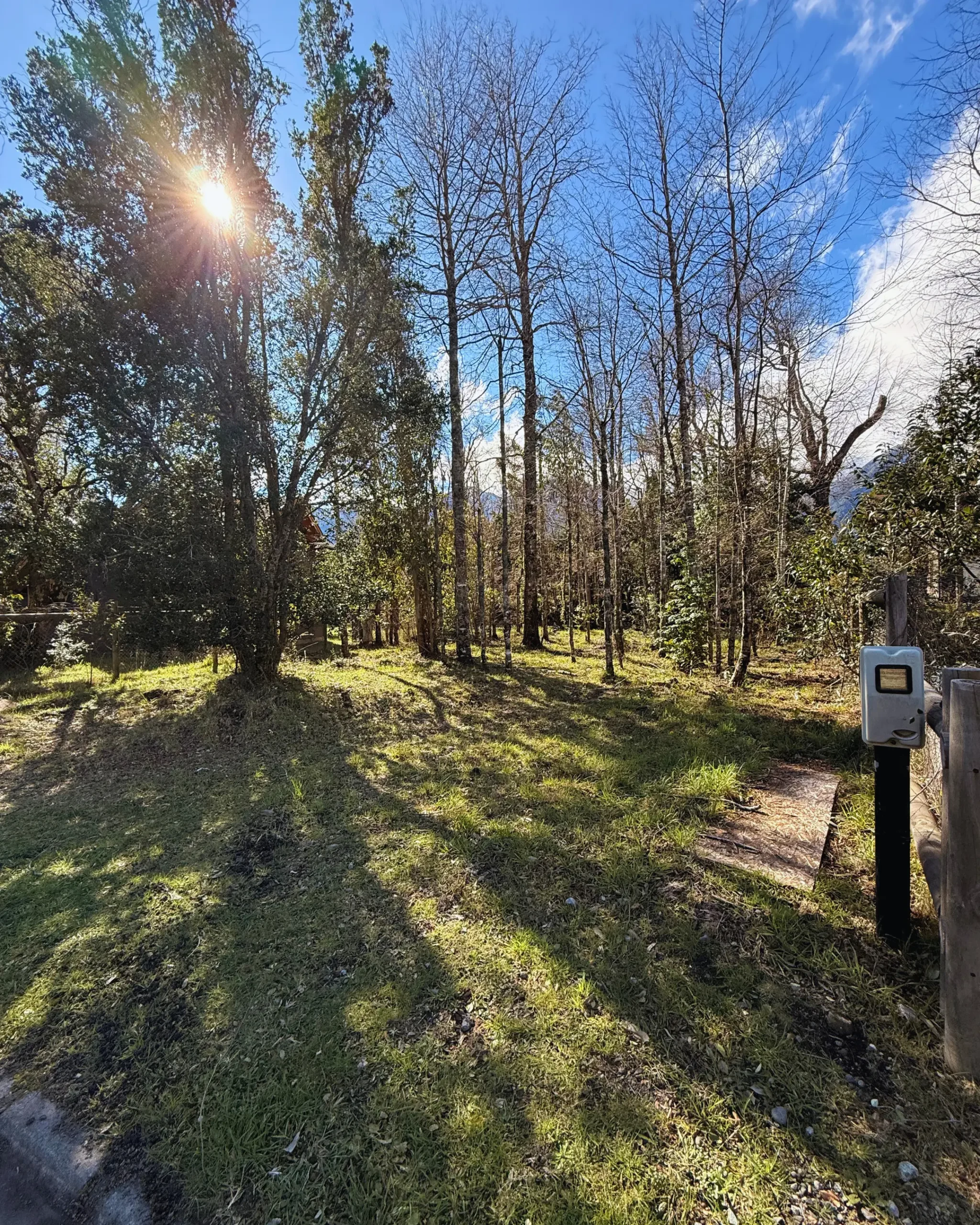 vista 11